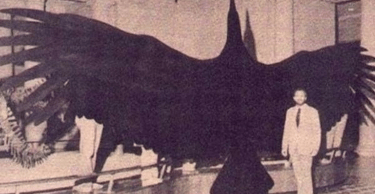 Historické zaujímavosti a fakty, ktoré vás vrátia v čase –  Prečo  sa začali používať odtlačky prstov a po kom sú pomenované prostitútky?