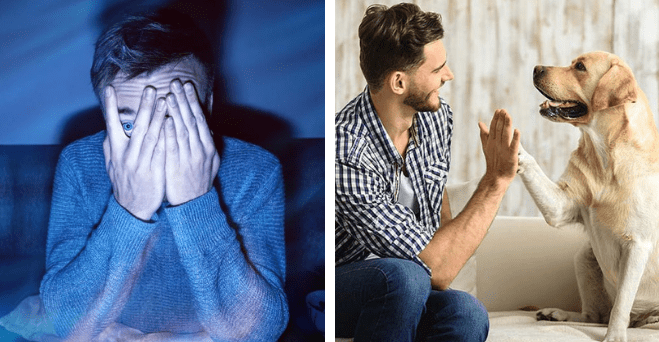 Zopár zaujímavosti ku káve, ktoré ti zaručene rozšíria obzory #1098: kto vlastní najväčšie dvere na svete, ktoré sú väčšie ako Socha slobody a niečo o pozeraní hororov