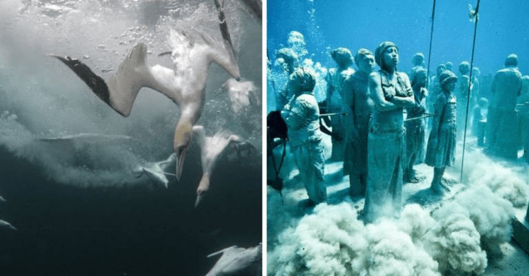 12 bizarných aj archeologických skvostov, ktoré našli potápači pod hladinou morí a oceánov