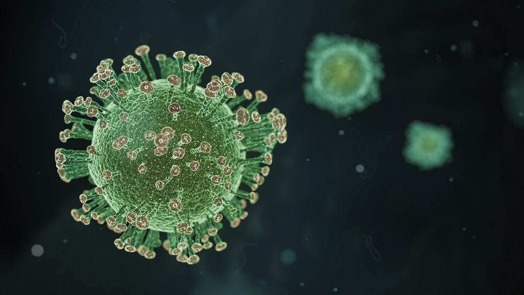 Coronavirus by Yu. Samoilov coronavirus photo