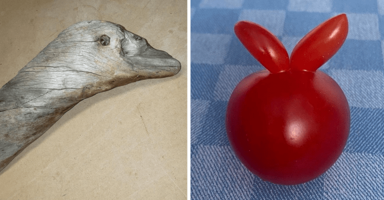14 fotografií, ktoré vás presvedčia o tom, že matka príroda je skutočným umelcom