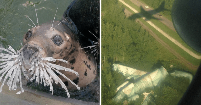 “Taký normálny deň v Rusku” – pozrite si fotografie, ktoré sú všetko, len nie normálne