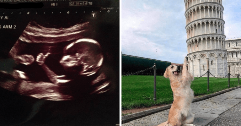 13 fotografií, ktoré vás zaručene nabijú pozitívnou energiou