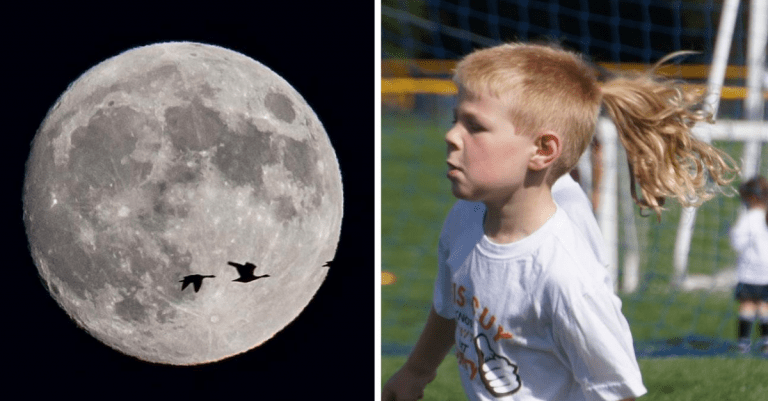 14 perfektne zachytených obrázkov, ktorých autormi sú amatérski fotografi