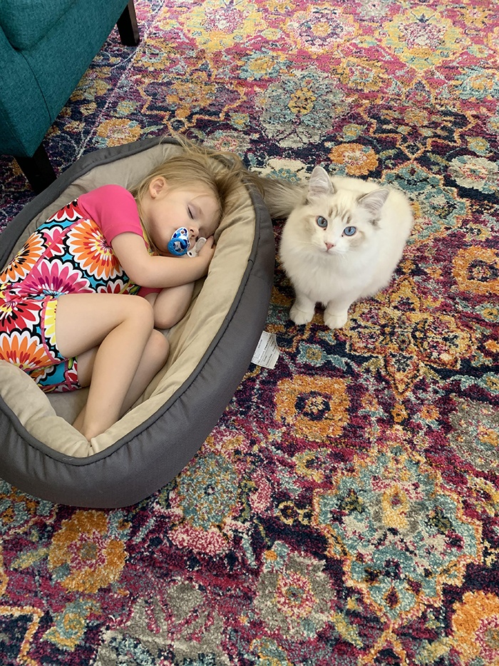 girl sleeping on cats bed