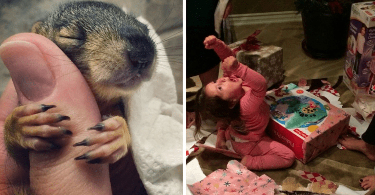 12 fotografií neskutočného šťastia, ktoré vás zahrejú pri srdci