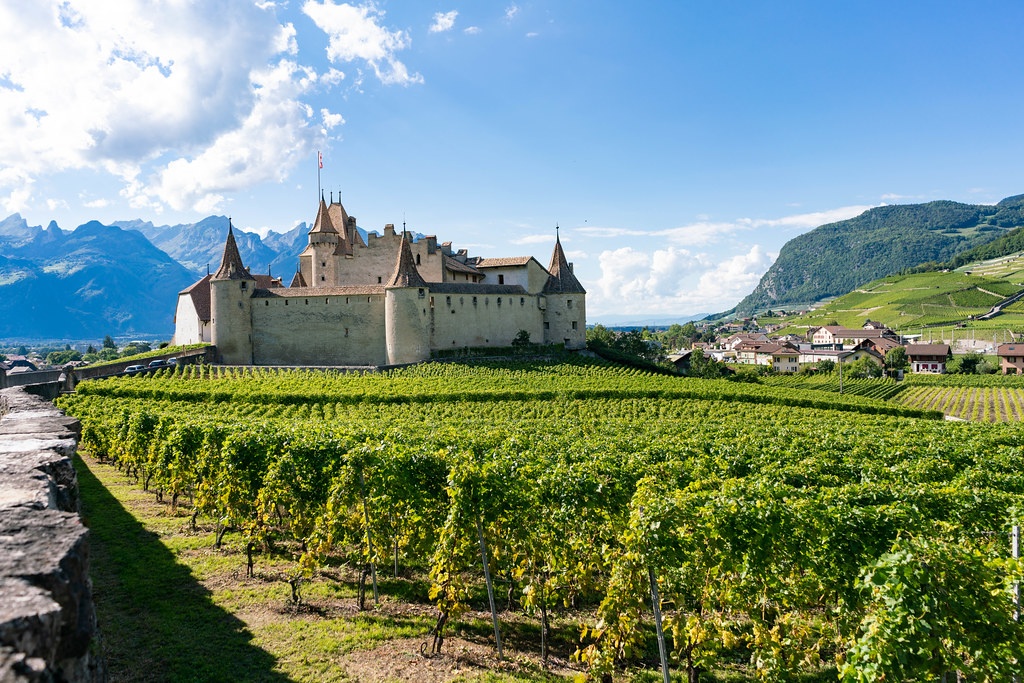 Aigle Castle in Swiss country with its own vineyards all around by wuestenigel swiss wine photo