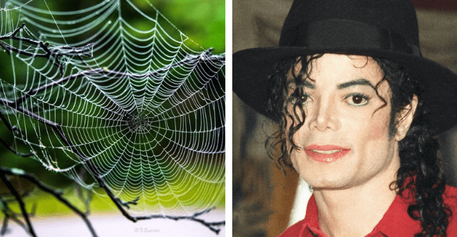 Na čo sa niekedy používali pavučiny alebo ako chcel Michael Jackson kúpiť Marvel comics #zaujimavosti