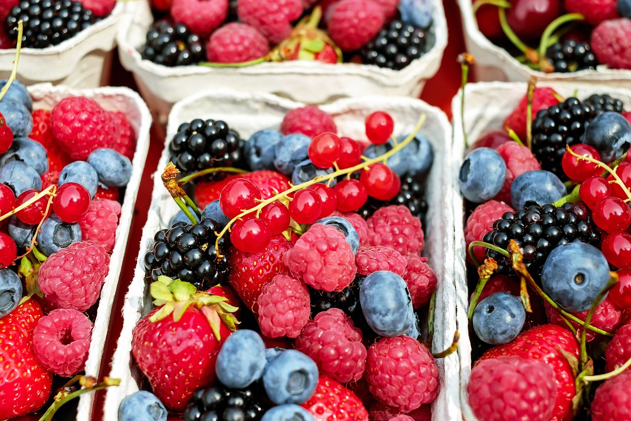 berries photo