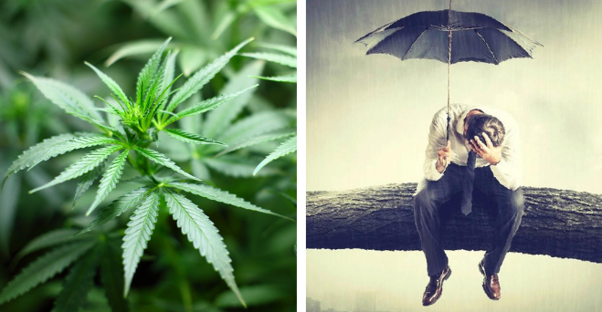 Ktorí tínedžeri majú väčšiu pravdepodobnosť vzniku depresie a ktoré zviera rozlišuje viac farieb ako človek #zaujimavosti