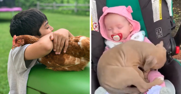 15 dokonalých záberov silného puta, ktoré môže vzniknúť len medzi deťmi a zvieratami