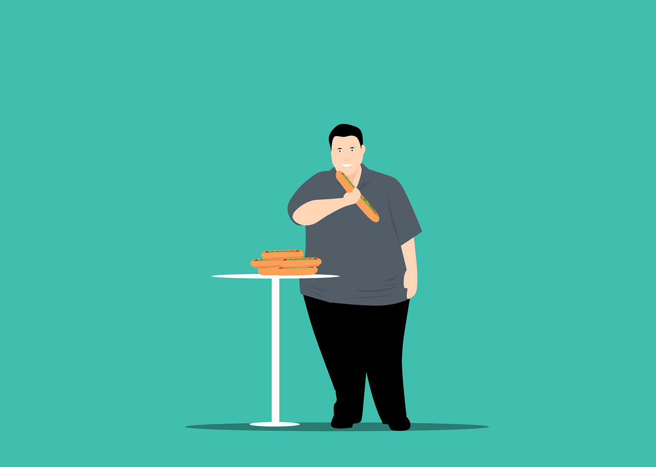 Photo by mohamed_hassan obesity photo