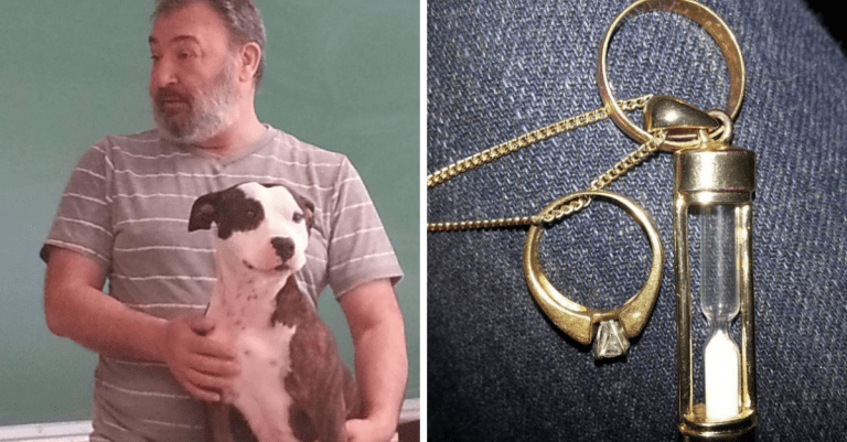 12 nádherných fotografií, z ktorých sa vaše srdce doslova zblázni