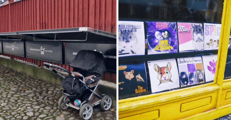 15 jedinečných fotografií, ktoré zobrazujú život vo Švédsku
