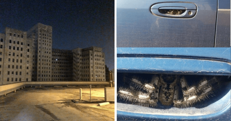 15 znepokojujúcich obrázkov, z ktorých budete mať zimomriavky na chrbte.