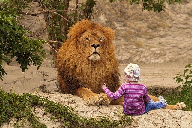 kid in zoo photo