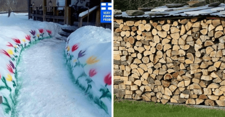 Vtipné obrázky zobrazujúce skutočný život vo Fínsku