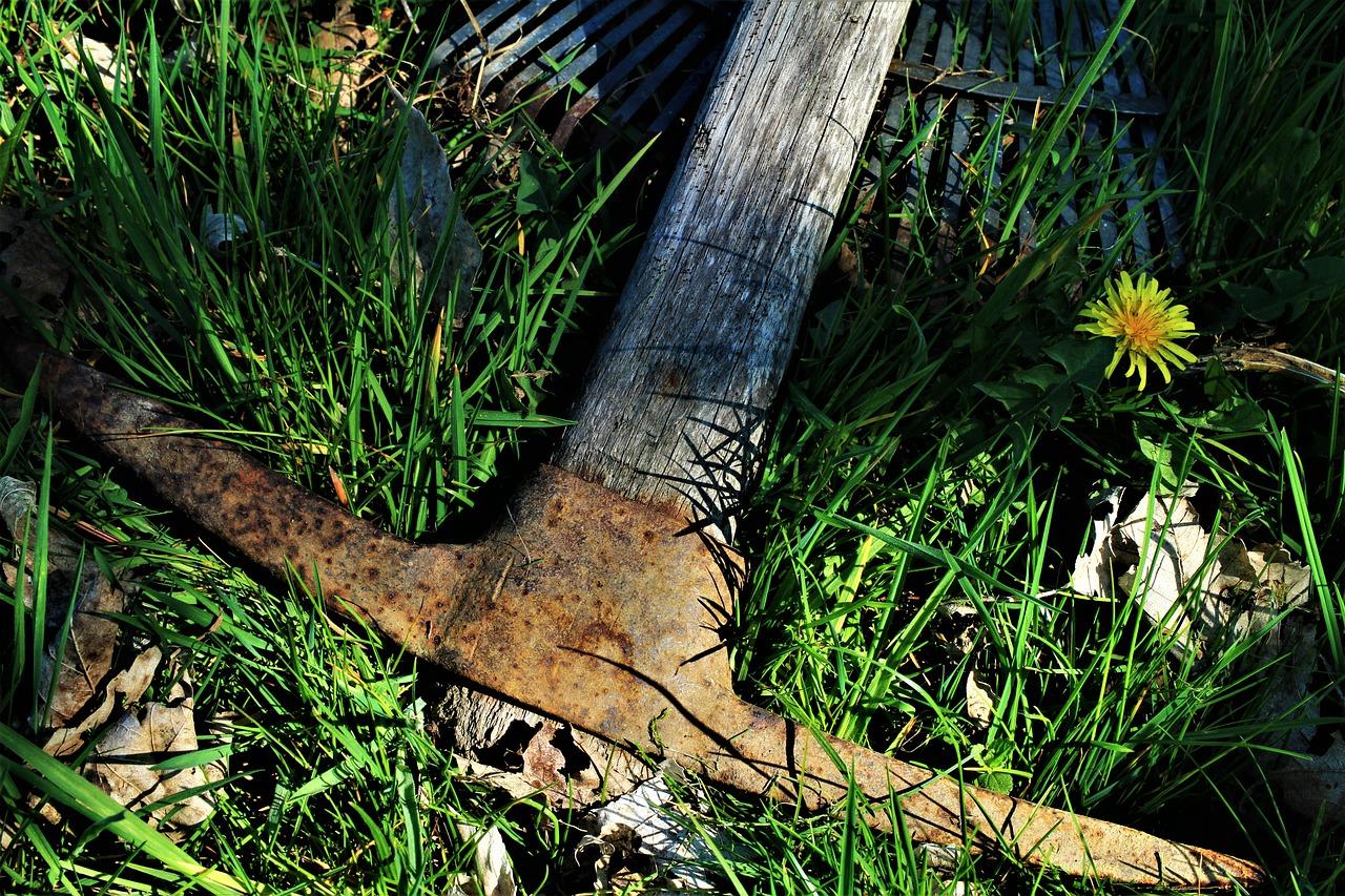 pickaxe photo