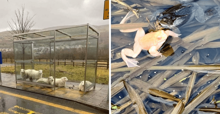 11 fotografií, ktoré vyzerajú ako z iného sveta