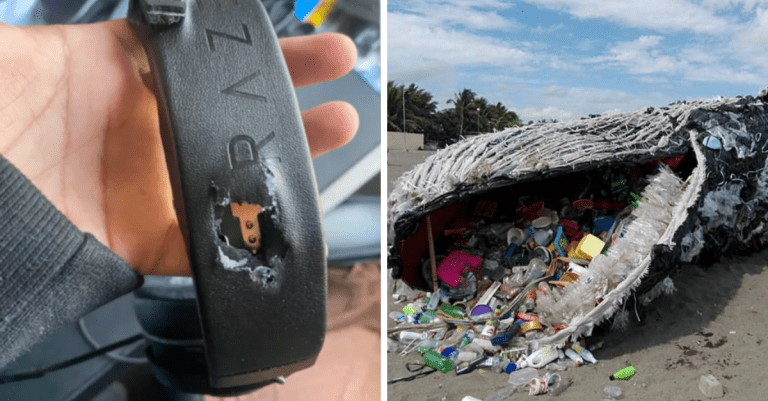 Fascinujúce fotografie, ktoré vás prinútia sa zamyslieť nad životom