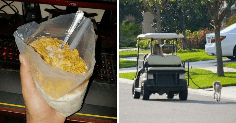 15 ľudí, ktorí povýšili lenivosť na celkom nový level