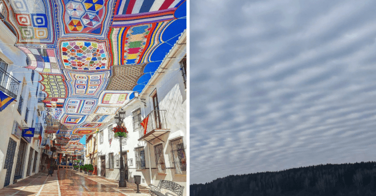 13 dôkazov, že najlepšie fotografie sa podaria, keď sa nesnažíte