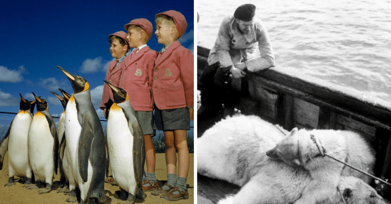 Historické fotografie, ktoré vás vrátia do minulosti a zanechajú vo vás celú škálu pocitov #342