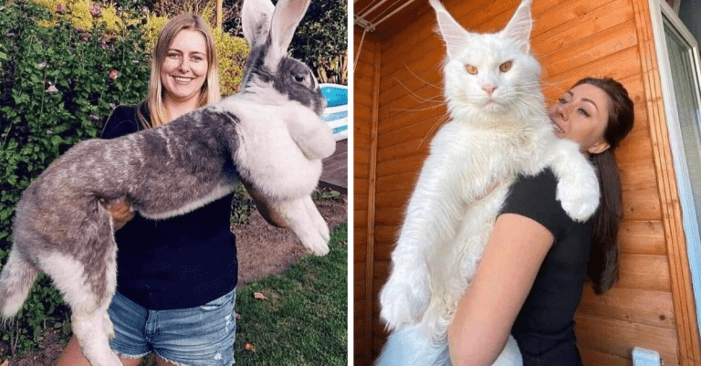 15 vecí, ktoré vás prekvapia svojou veľkosťou