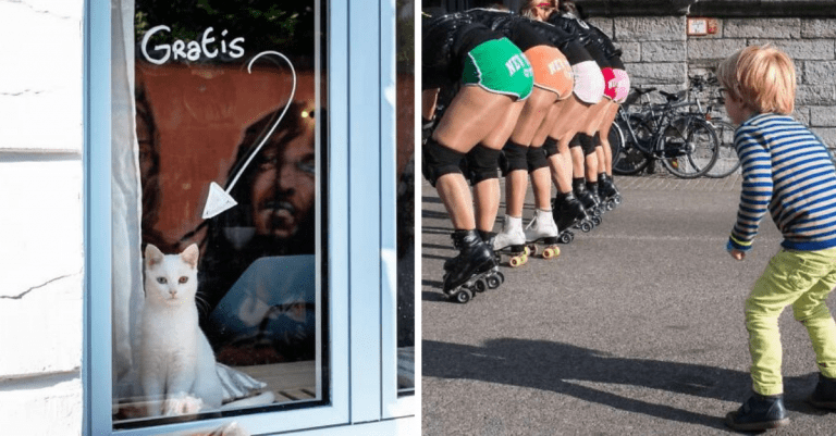 Fotografovi sa podarilo zachytiť naozaj absurdné situácie. Pozrite si jeho výber fotografií