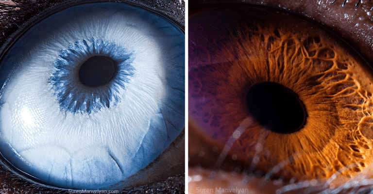 Fascinujúce zábery – arménsky fotograf vytvára detailné fotografie očí zvierat