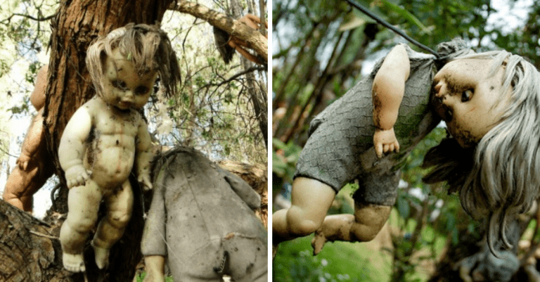 15 znepokojujúcich fotografií z Ostrova bábik, ktoré vás presvedčia o tom, že aj hračky môžu byť desivé