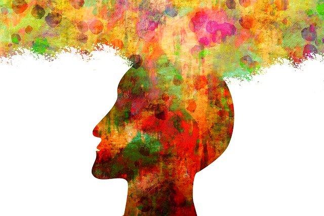 brain photo