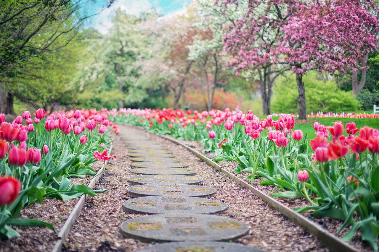 garden photo