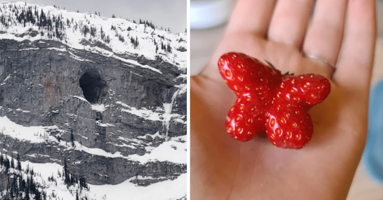 15 fascinujúcich vecí, ktoré ľudí postretli v bežnom živote