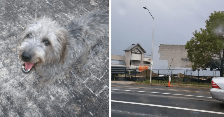 13 vecí, ktoré dokonale splynuli s okolitým prostredím