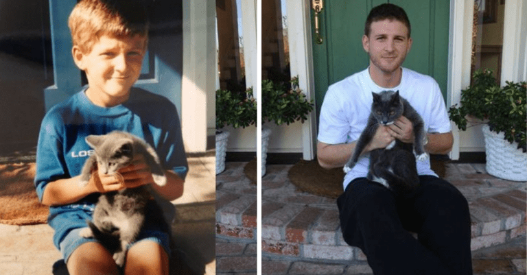 16 fotografií, ktoré dokazujú, že najlepším priateľom môže byť aj váš domáci miláčik