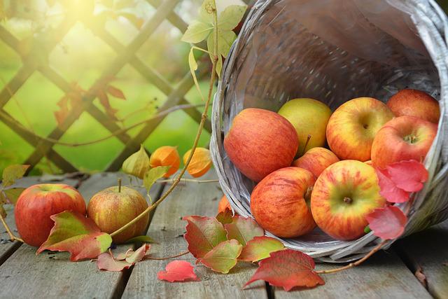 apple photo
