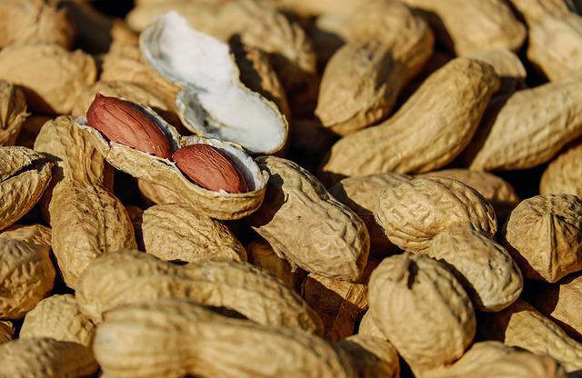 peanuts photo