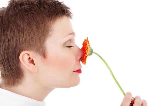Photo by PublicDomainPictures smell photo