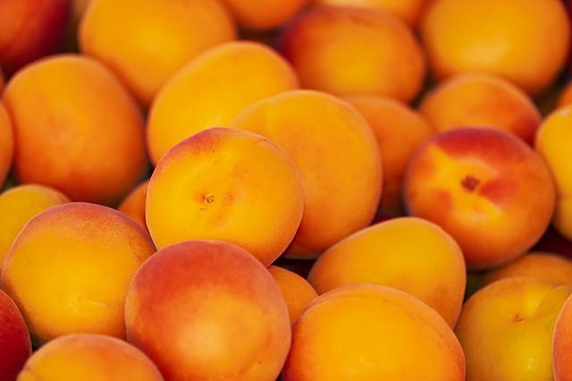 apricots photo