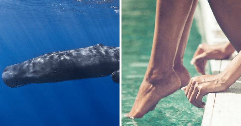 Fakty o oceánoch, ktoré vám navodia vzrušujúce a skľučujúce pocity zároveň