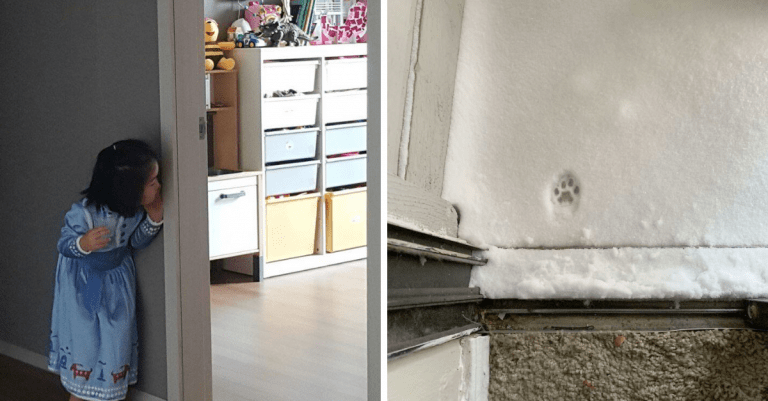 15 prípadov, kedy jediná fotografia prerozprávala celý príbeh