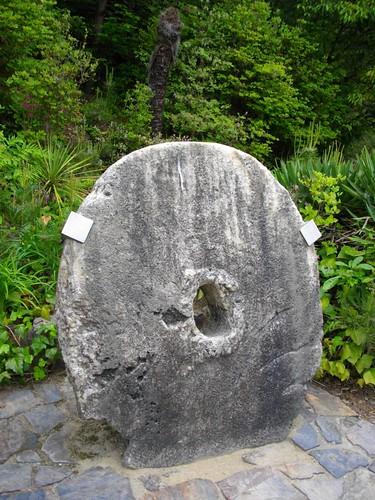 rai stone photo