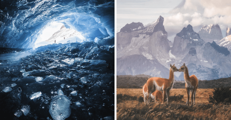 12 dokonalých fotografií, vďaka ktorým si ľudia na internete užili pár minút slávy