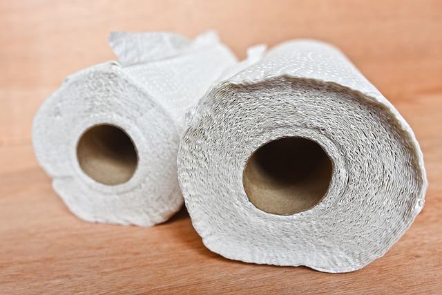paper towels photo
