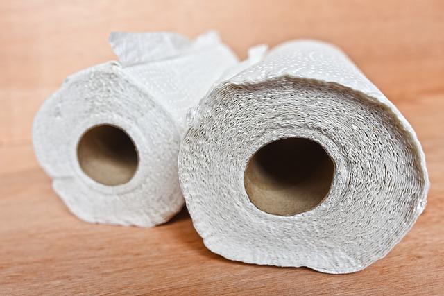 Photo by MabelAmber paper towels photo