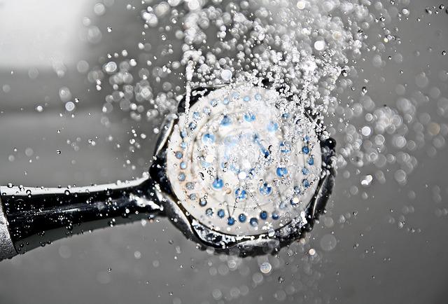 shower head photo