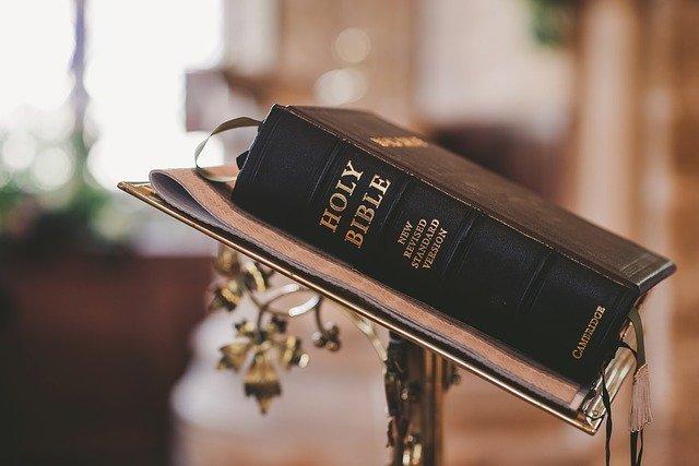 Photo by stempow bible photo