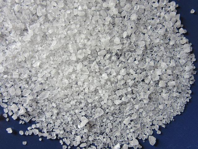 salt photo
