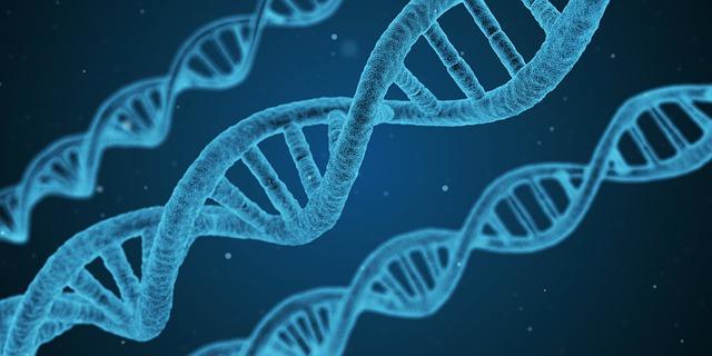 genes photo